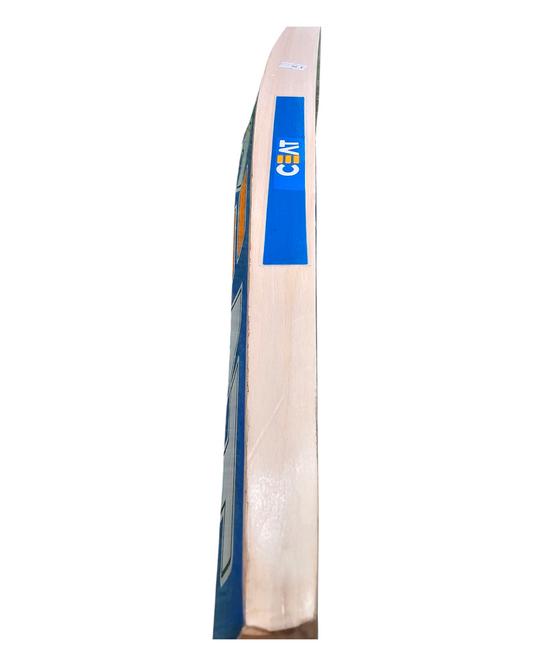 CEAT Kashmir Willow Cricket Bat