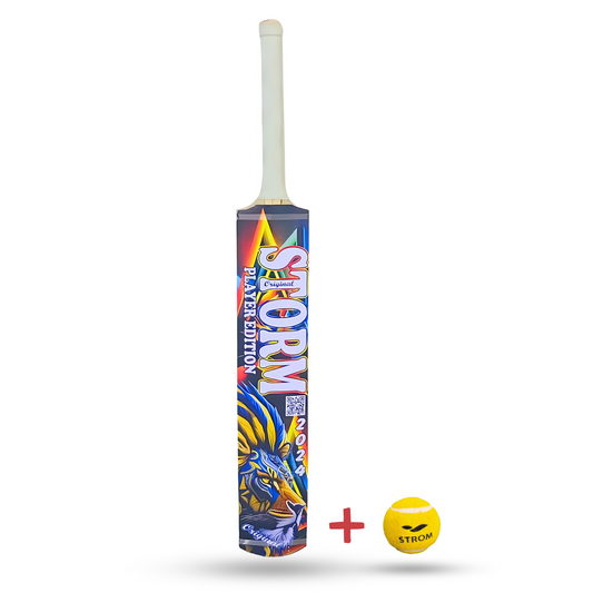 CSS Special Edition 2024 STORM