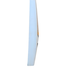 SS English Willow Cricket Bat – SH