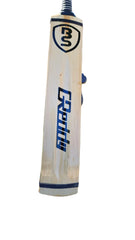 BS GReady Tape Ball Bat