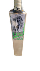 HS Spark 300 Hard Ball Bat