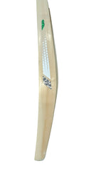 CA Vision 12000 Tennis Bat And Ball