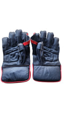 SS Wicket Keeping Gloves