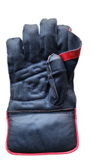 SS Wicket Keeping Gloves